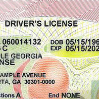 Georgia Drivers License Book Online